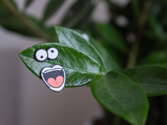 Plant People - Magnetic faces for your plants | 6 faces