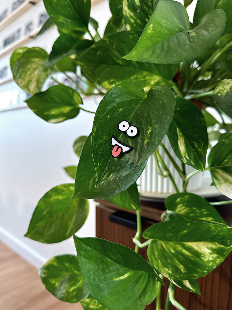 Load image into Gallery viewer, Plant People - Magnetic faces for your plants | 6 faces
