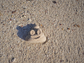 Poo Emoji Sand Mold, Beach Toys for Kids, Funny Poop Emoji Gift, Sensory Play Summer Toys